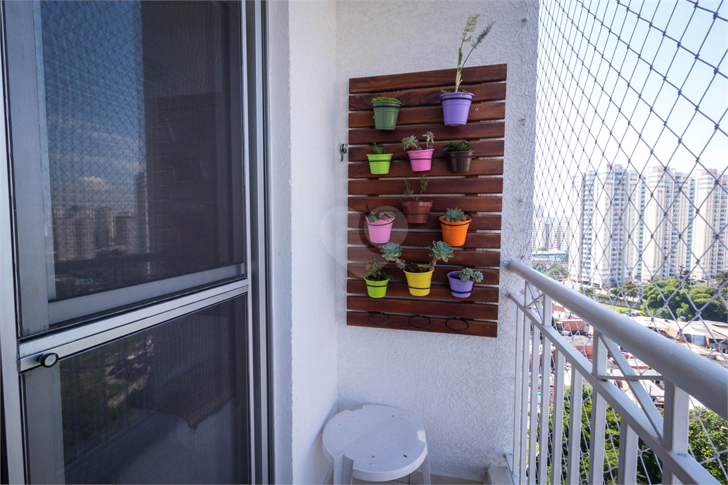 Venda Apartamento São Paulo Vila Moreira REO1027346 8