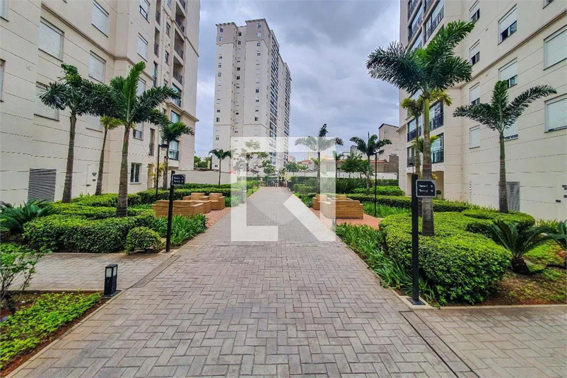 Venda Apartamento São Paulo Cambuci REO1027393 8