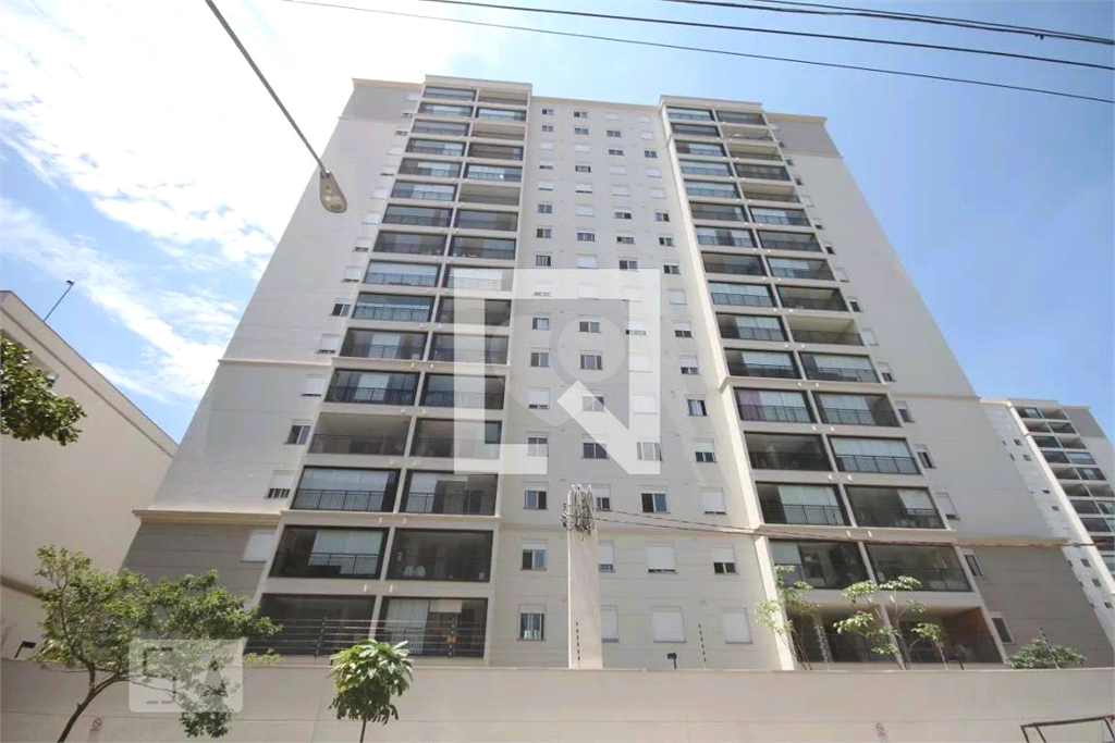 Venda Apartamento São Paulo Cambuci REO1027393 23