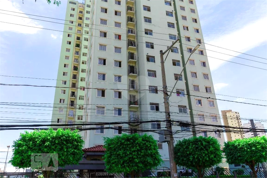 Venda Apartamento São Paulo Jardim São Paulo(zona Norte) REO1027491 4