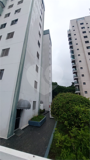 Venda Apartamento São Paulo Vila Gomes Cardim REO1027646 12