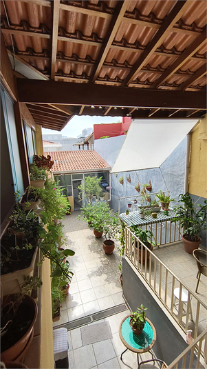 Foto REO1027930