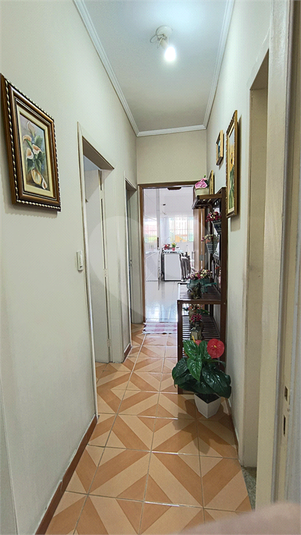Foto REO1027930
