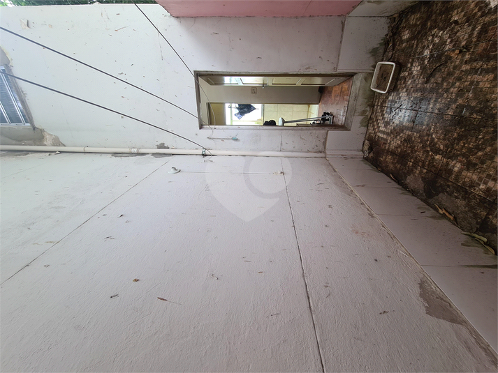 Foto REO1027973