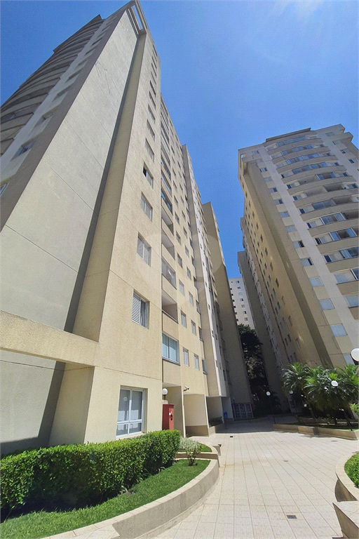 Venda Apartamento São Paulo Jardim Das Laranjeiras REO1028167 49