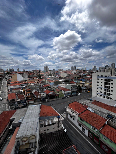 Foto REO1028284