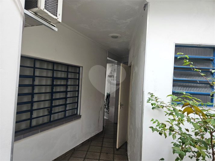 Foto REO1028475