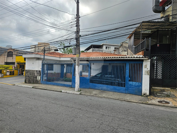 Foto REO1028475