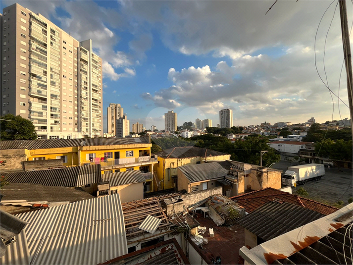 Foto REO1028486
