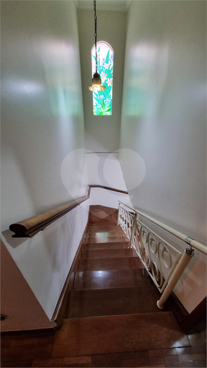Foto REO1028720