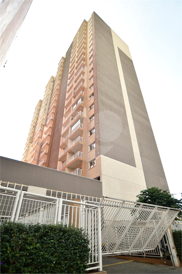 Venda Apartamento São Paulo Brás REO1028821 47