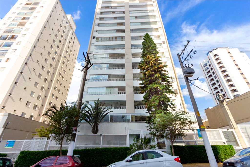 Venda Apartamento São Paulo Vila Bertioga REO1028823 63