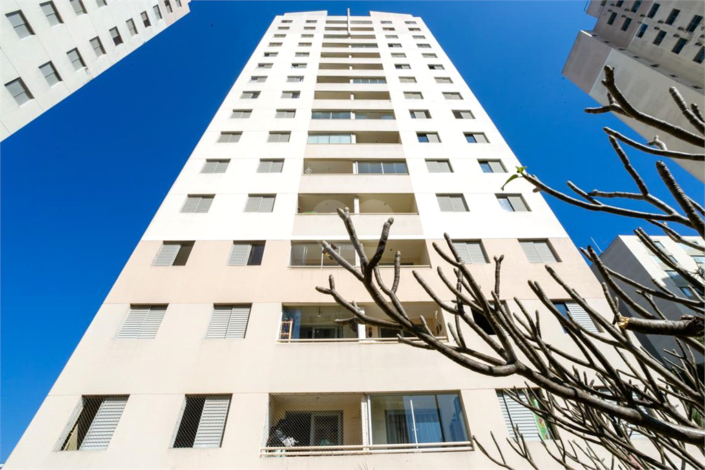 Venda Apartamento São Paulo Imirim REO1028825 41