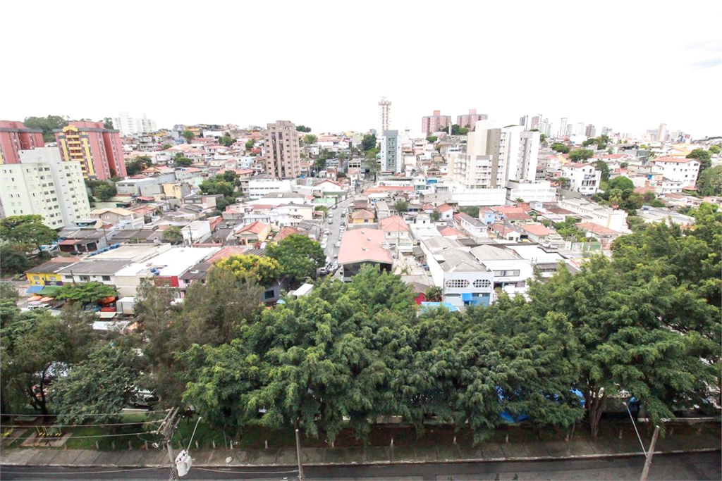 Venda Apartamento São Paulo Jardim Paraíso REO1028859 6