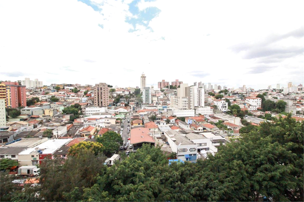 Venda Apartamento São Paulo Jardim Paraíso REO1028859 19