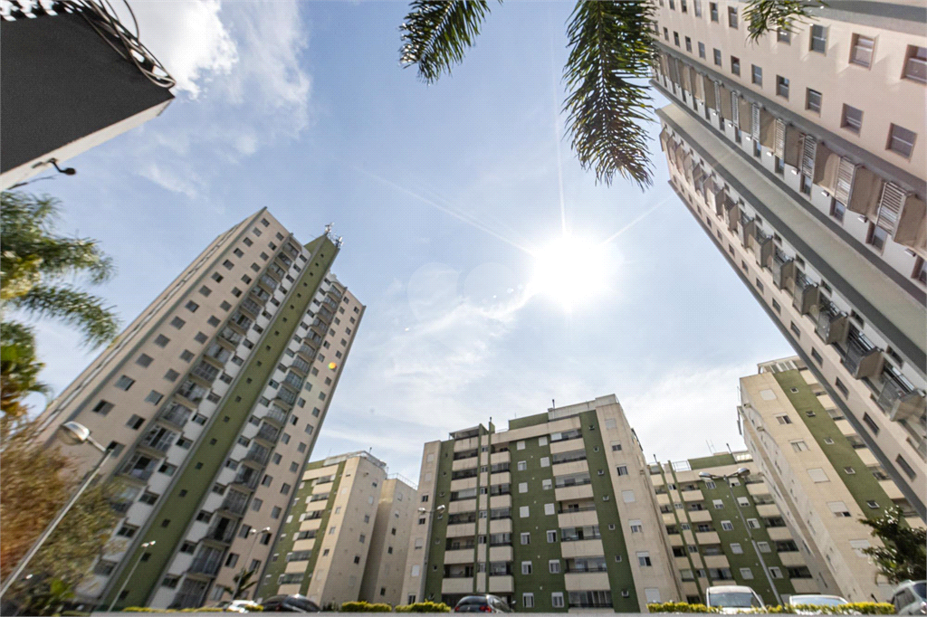 Venda Apartamento São Paulo Chácara Califórnia REO1028883 38