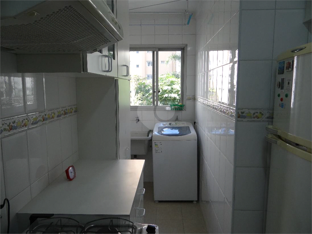 Aluguel Apartamento São Paulo Itaim Bibi REO1028929 11