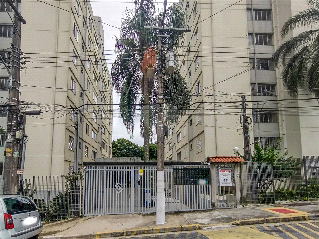 Venda Apartamento São Paulo Barro Branco (zona Norte) REO1029161 31