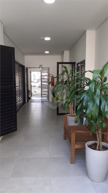 Aluguel Apartamento São Paulo Tatuapé REO1029260 12