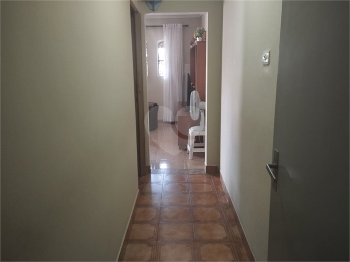 Foto REO1029369