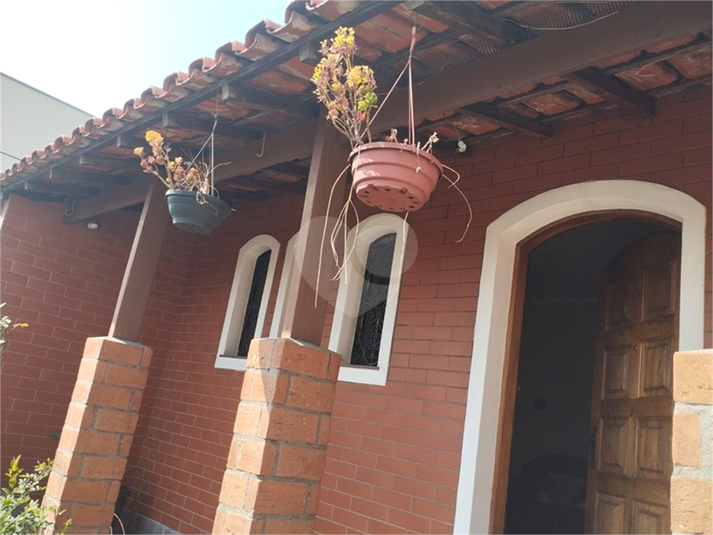 Foto REO1029369
