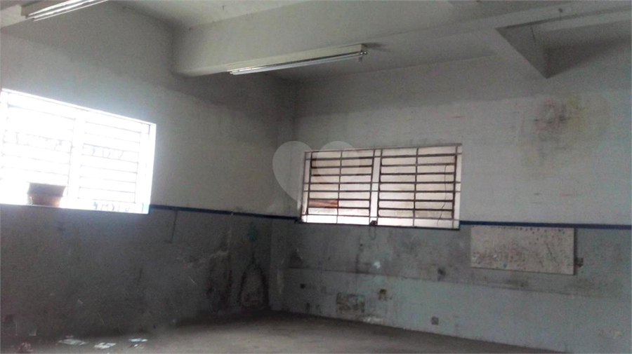 Foto REO1029579