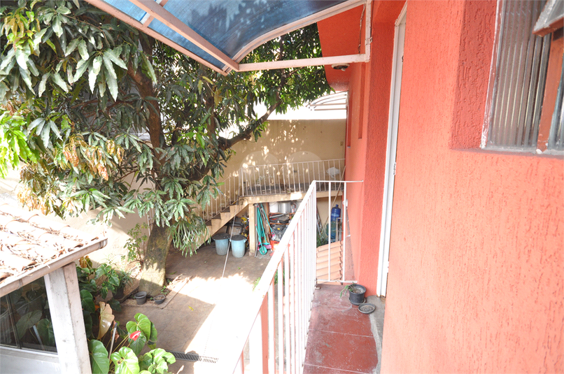 Foto REO1029581