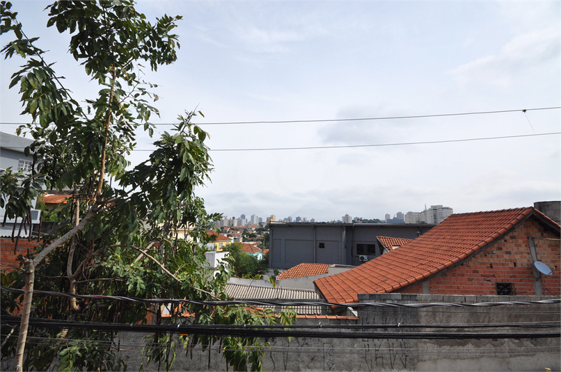 Foto REO1029581