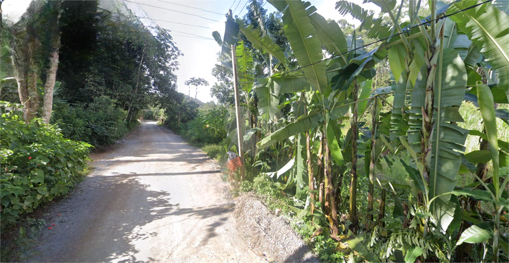 Venda Terreno Guarulhos Chácara Das Lavras REO1029585 4