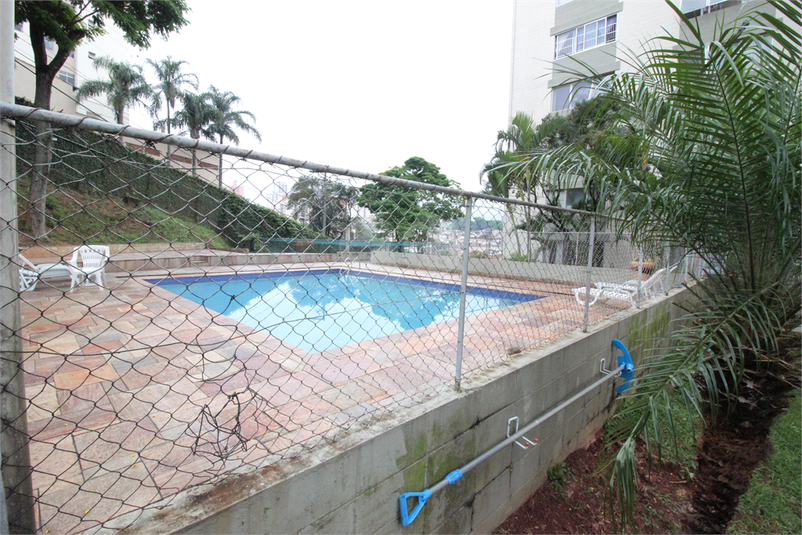 Foto REO1029756