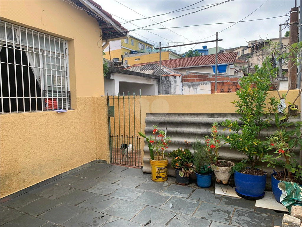 Venda Casa São Paulo Vila Nova Cachoeirinha REO1029903 55