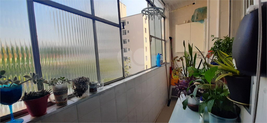 Venda Apartamento São Paulo Vila Mariana REO1029995 12