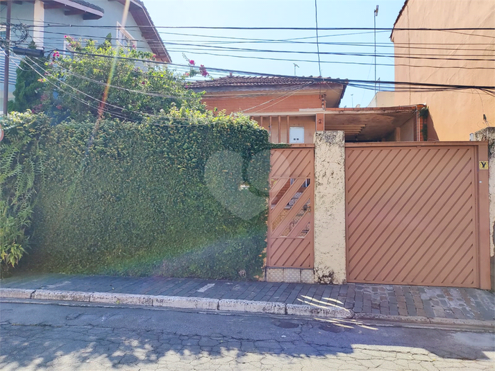 Foto REO1030064