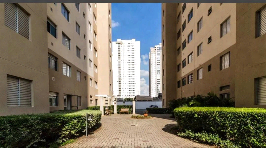 Venda Apartamento São Paulo Água Branca REO1030201 12