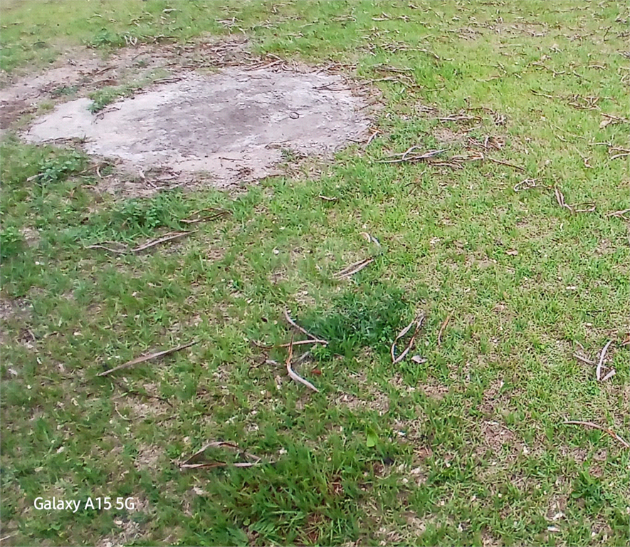 Venda Terreno Campinas Jardim Chapadão REO1030335 8