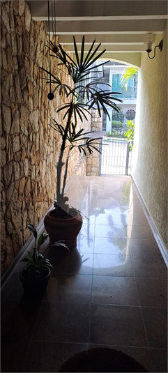 Foto REO1030352