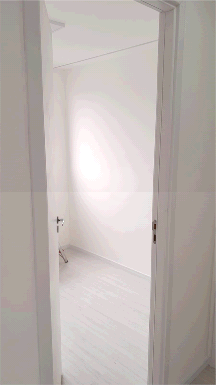 Aluguel Apartamento São Paulo Vila Tolstoi REO1030445 13