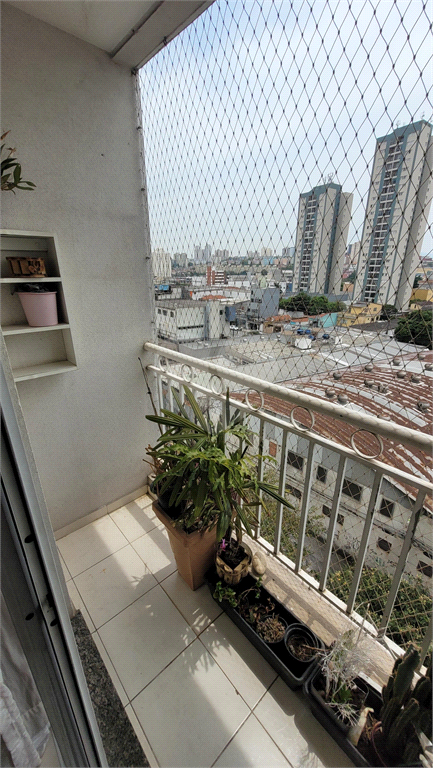 Venda Apartamento São Paulo Limão REO1030544 10