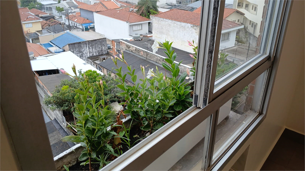 Aluguel Apartamento São Paulo Saúde REO1030594 20