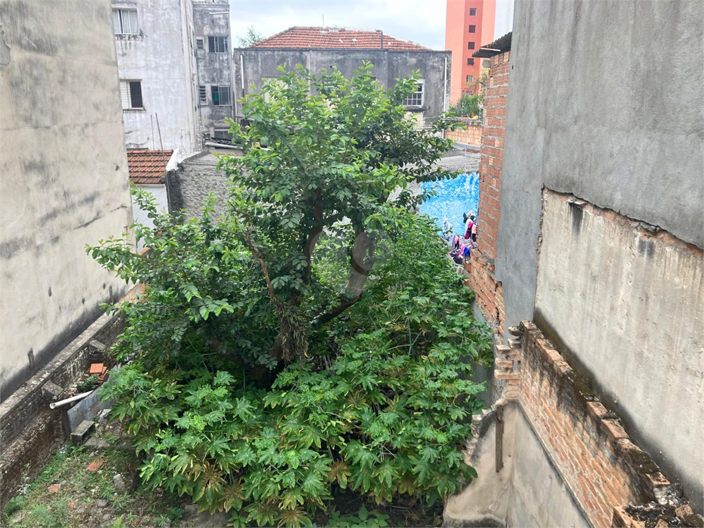 Venda Casa térrea São Paulo Cambuci REO1030621 19