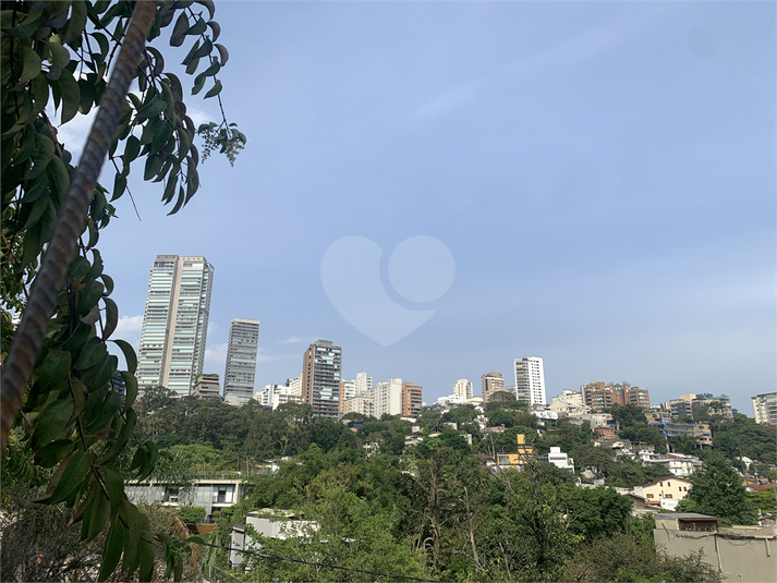 Foto REO1030661