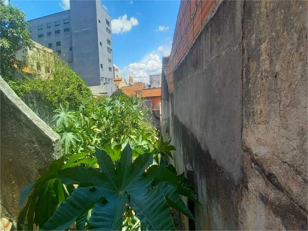 Venda Terreno São Paulo Imirim REO1030667 4