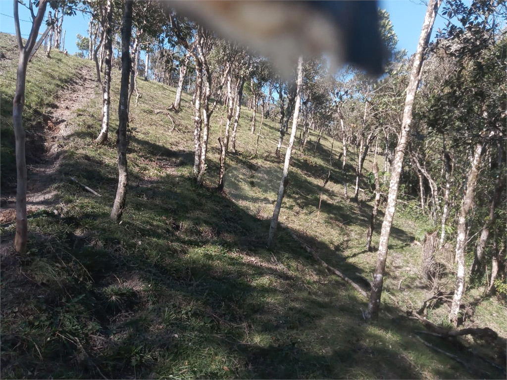 Venda Chácara São José Dos Pinhais Borda Do Campo REO1030740 11