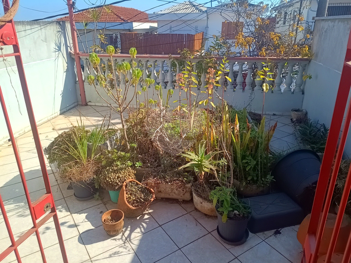 Foto REO1030871