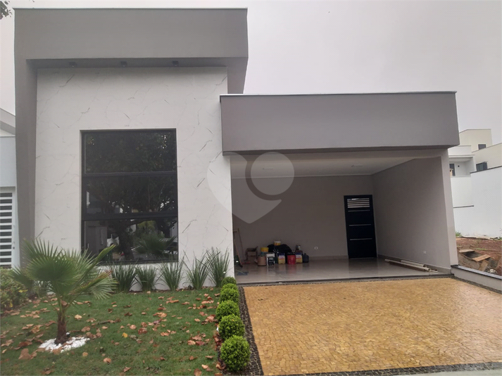 Foto REO1030882