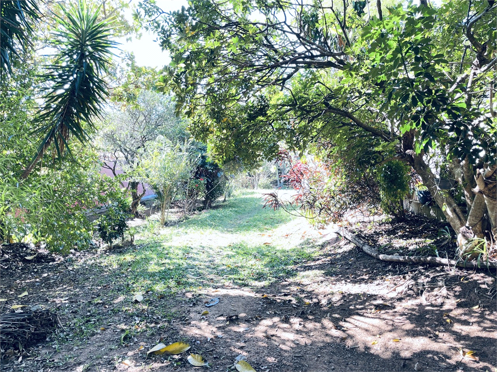 Venda Chácara Valinhos Chácaras São Bento REO1030887 16