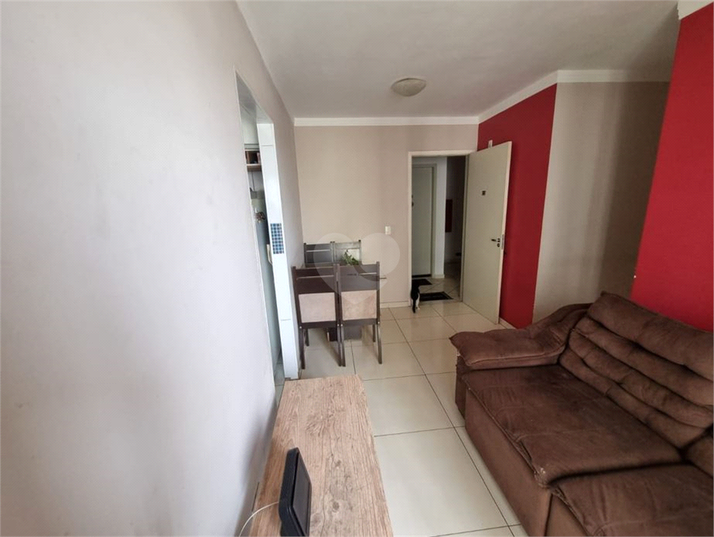 Venda Apartamento Campinas Vila Mimosa REO1030910 4