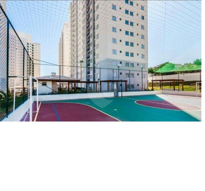 Venda Apartamento Campinas Vila Mimosa REO1030910 13