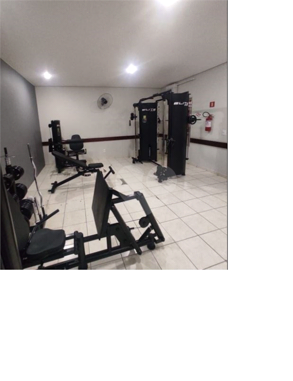 Venda Apartamento Campinas Vila Mimosa REO1030910 17