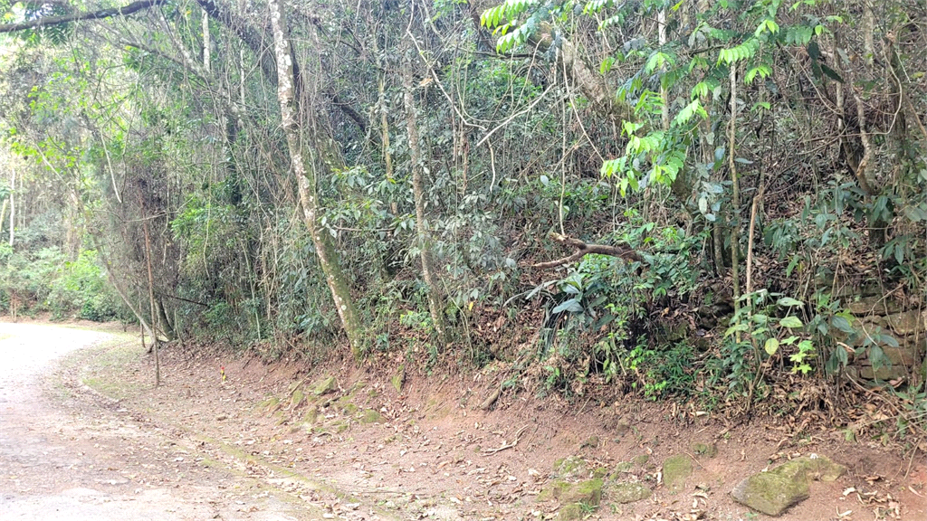 Venda Condomínio Mairiporã Caraguatá REO1030997 6